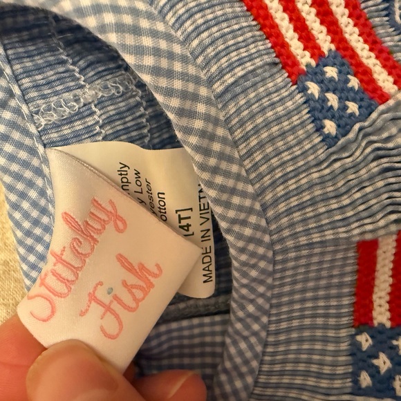 Stitchy Fish Blue Gingham Dress with Red and White Accents - Picture 2 of 2